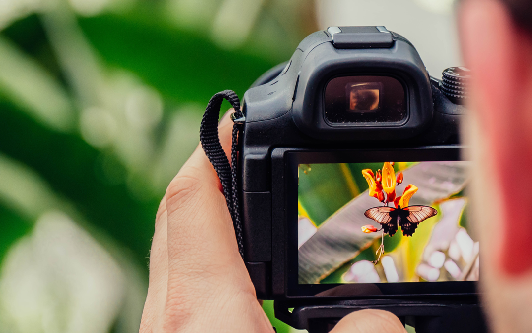 Aparatul de fotografiat