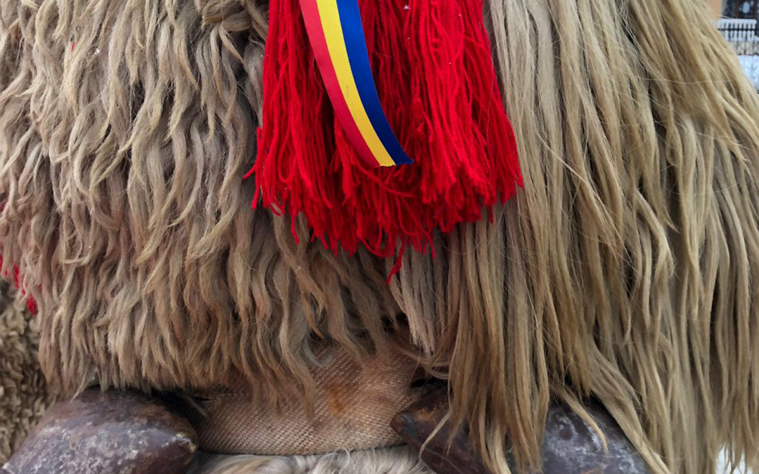 Crai, blogi sau pițări – Ce-or fi ei?