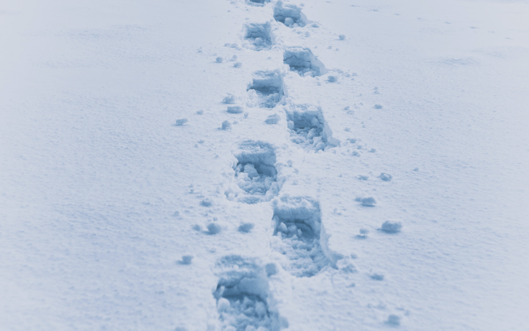 Desenează cu urme de bocanci pe zăpadă