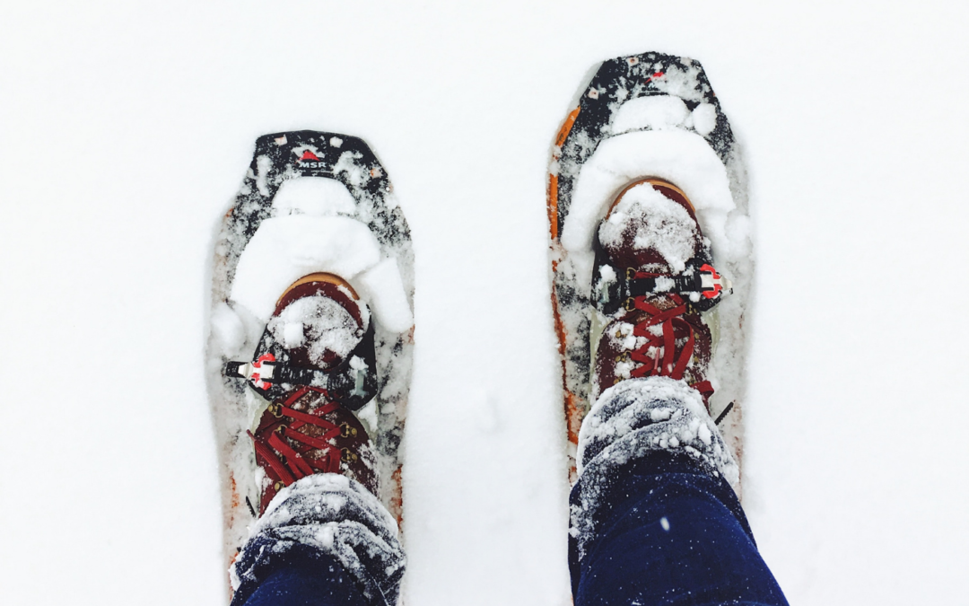 Rachete de zăpadă din nuiele