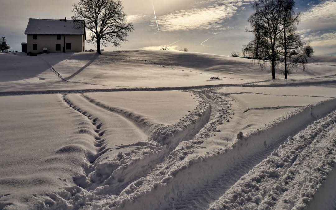 Ajutor de bunici/vecini la înlăturarea zăpezii